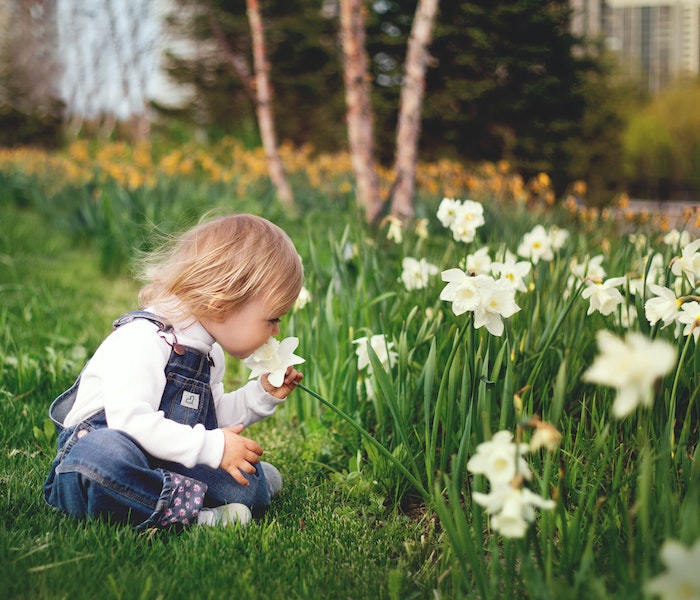 tips to get a safe garden for kids